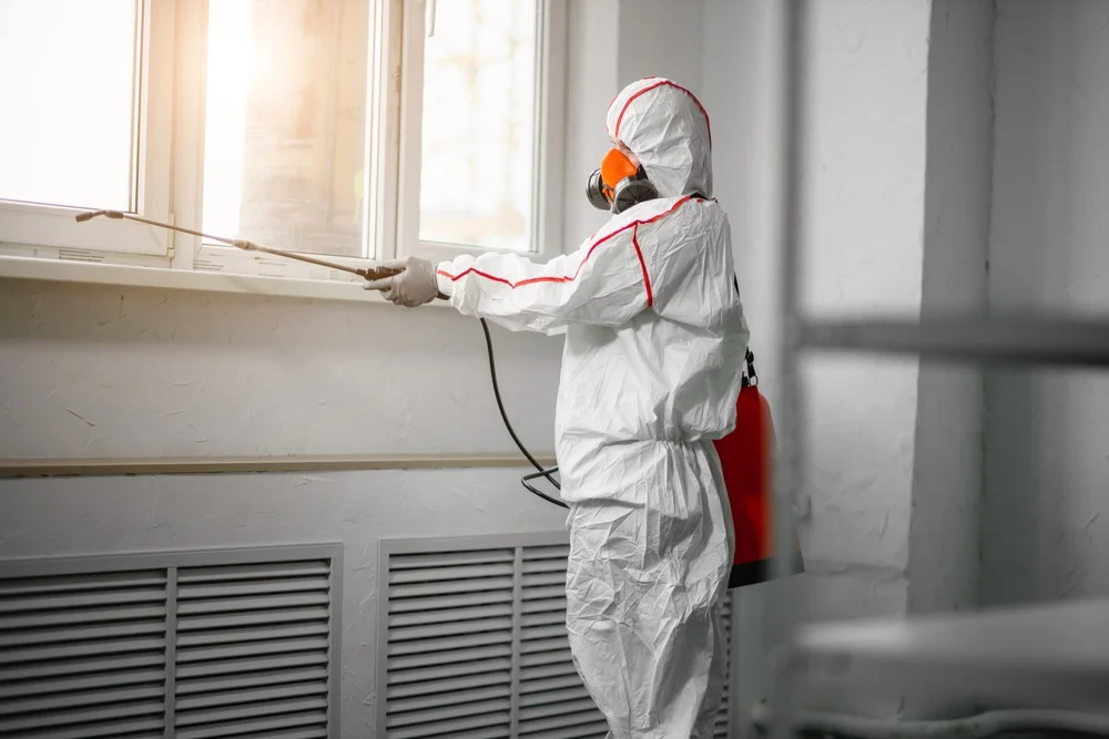 Professional mold remediation services in Gordo, AL